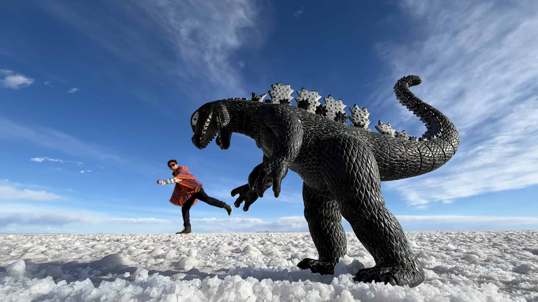 白銀の世界・ウユニ塩湖2泊3日 ～塩のホテル指定～英語ガイドツアー　Aプラン