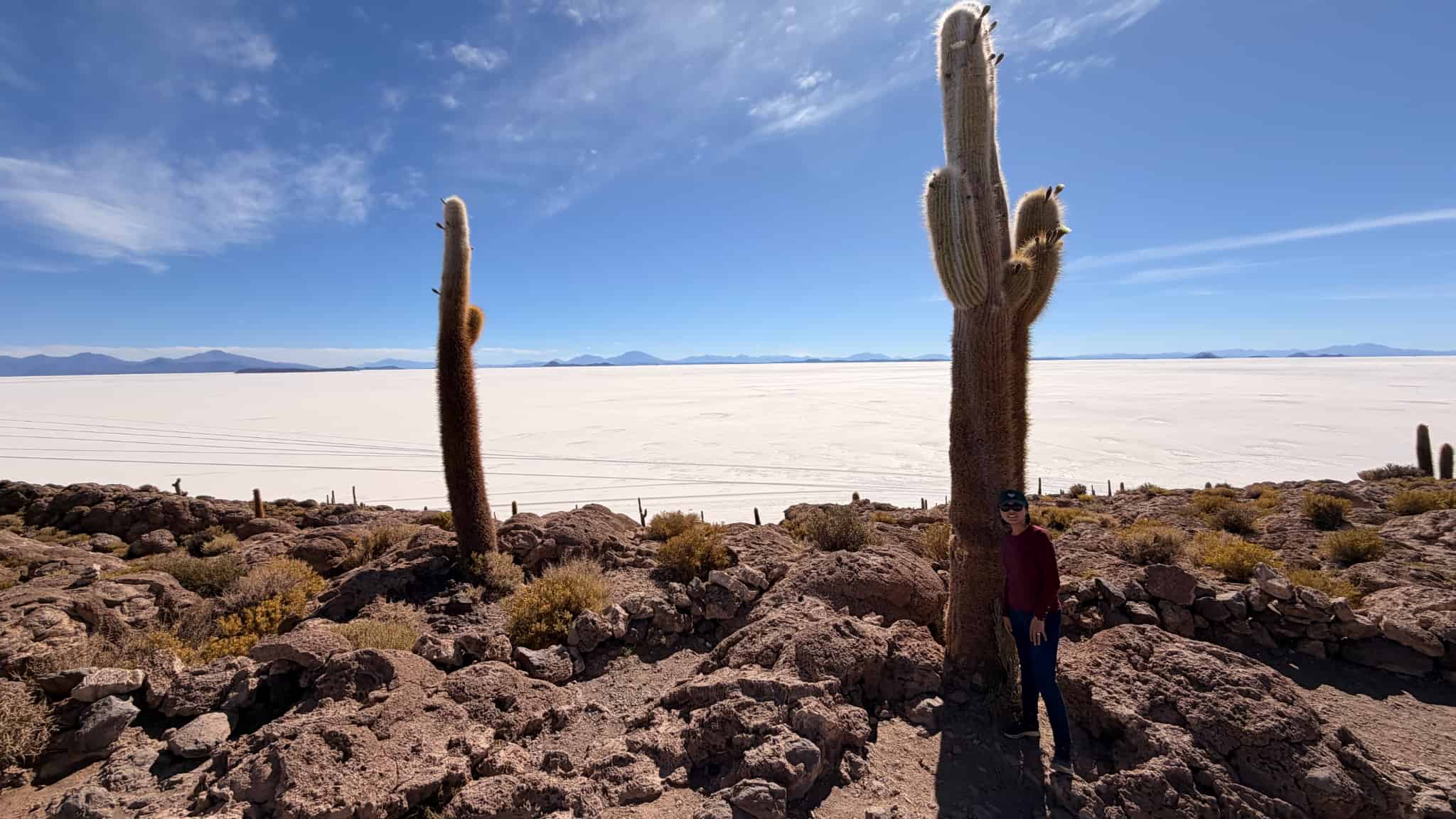 白銀の世界・ウユニ塩湖2泊3日 ～塩のホテル指定～英語ガイドツアー　Aプラン