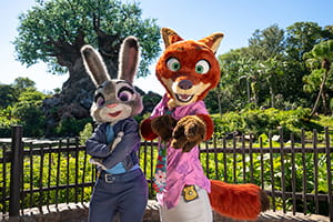 HIS フロリダ 夢の休日 ウォルト・ディズニー・ワールド リゾートで遊ぼう