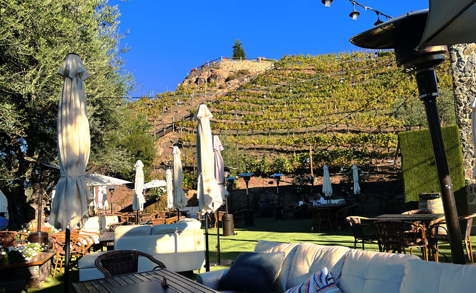 セレブの街 マリブ プライベートツアー | ゲティヴィラ＆ワイナリー観光 9時間＜金曜限定＞