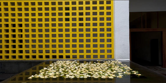 【火曜〜金曜催行】トラルパン礼拝堂、カサ・ペドレガル、メキシコ国立自治大学(日本語ガイド)2名様以上ご参加の場合 【火曜〜金曜催行】トラルパン礼拝堂、カサ・ペドレガル、メキシコ国立自治大学(日本語ガイド)2名様以上ご参加の場合