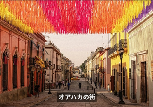 【メキシコシティ発】飛行機で行く、日帰りオアハカ自由行動ツアー!2名様以上参加1名様あたりの料金 【メキシコシティ発】飛行機で行く、日帰りオアハカ自由行動ツアー!2名様以上参加1名様あたりの料金