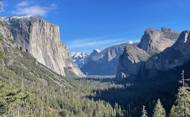ヨセミテ国立公園観光ツアー｜サンフランシスコ発 / 日帰り / 日本語ガイド (セコイア トンネルビュー 他）