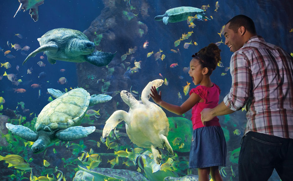 CITY PASS ~サンディエゴ 【シーワールド+3アトラクション】 CITY PASS ~サンディエゴ 【シーワールド+3アトラクション】