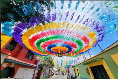 【専用車利用】世界遺産モンテ・アルバンと民芸品市場・話題のカラフルなスポットにも行く！オアハカ王道1日観光＜半日/日本人アシスタント付＞