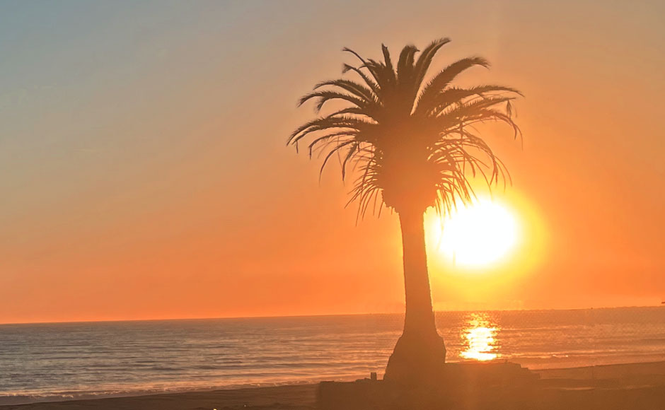 セレブの街 マリブ プライベートツアー | ゲティヴィラ&ワイナリー観光 9時間<金曜限定> セレブの街 マリブ プライベートツアー | ゲティヴィラ&ワイナリー観光 9時間<金曜限定>