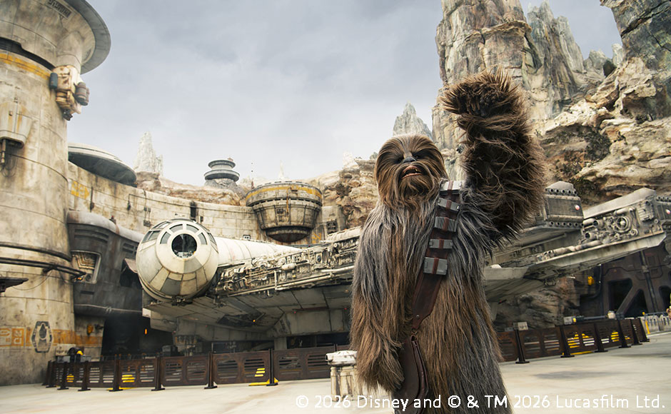 ディズニーランド・リゾート パークパス 各種 1パークパス 【1日券】 ディズニーランド・リゾート パークパス 各種 1パークパス 【1日券】