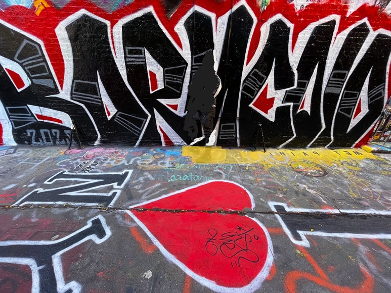 プロカメラマンと行く！ニューヨークのお散歩 ～ブルックリンブリッジを歩いて渡ってダンボ散策～＜日本語ガイド＞ 通常プラン