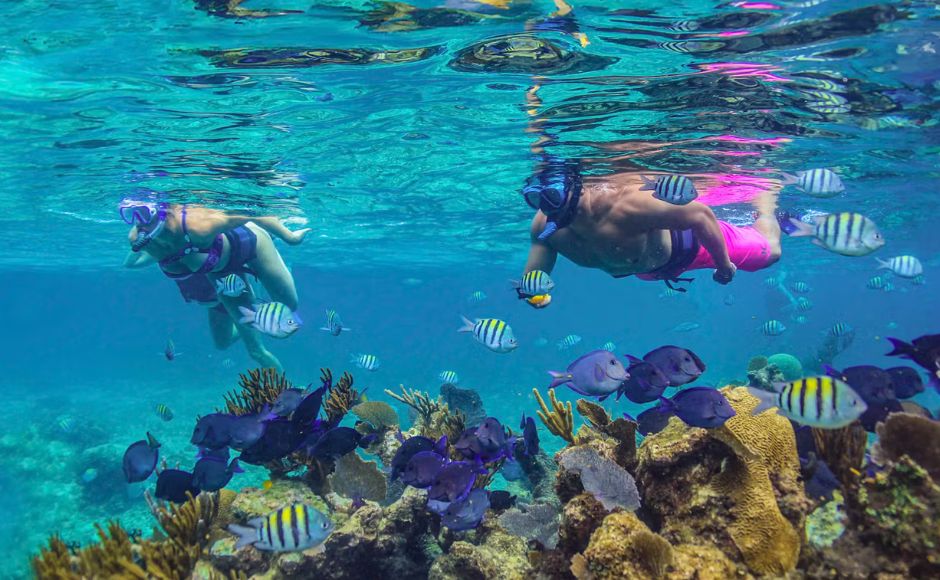 【リビエラマヤ・プラヤデルカルメン発】カリブ海カタマランセーリング