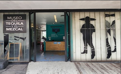 【市内発着プラン】タコス付き♪メキシコ文化を満喫！歴史地区観光＆テキーラ・メスカル博物館