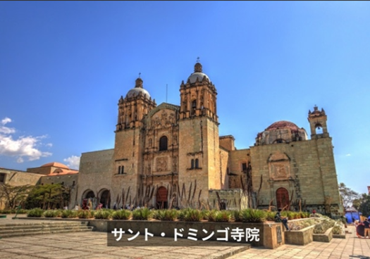 【メキシコシティ発】飛行機で行く、日帰りオアハカ自由行動ツアー!<br>2名様以上参加1名様あたりの料金