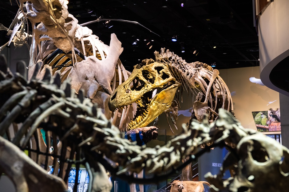 ダラスシティパス（Dallas CityPASS）