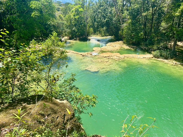 【専用車】世界遺産パレンケ遺跡とロベルト・バリオス滝ツアー（英語ガイド）