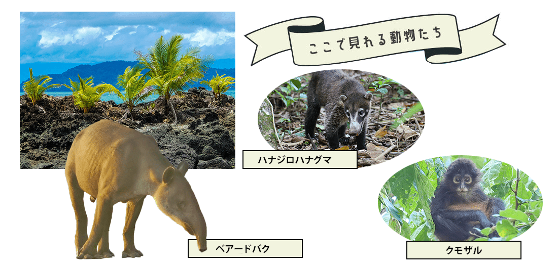 コルコバード国立公園