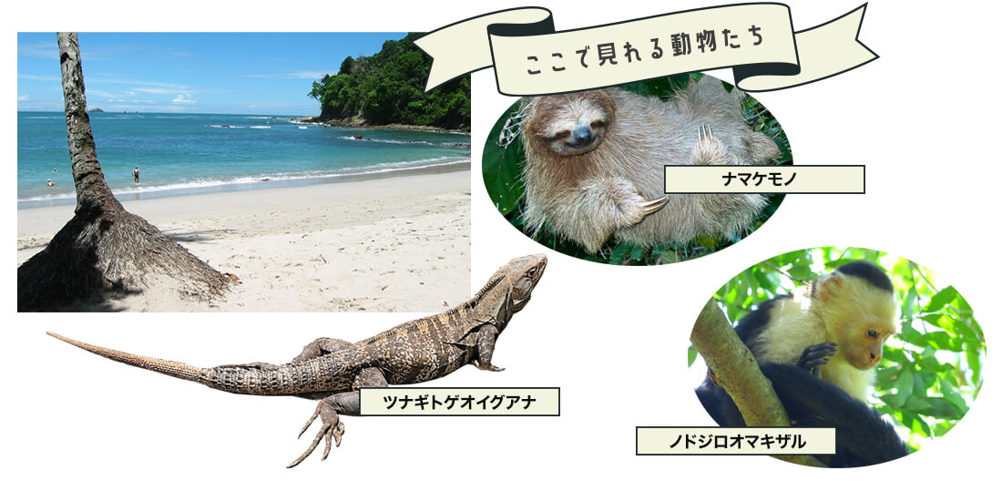 マヌエルアントニオ国立公園