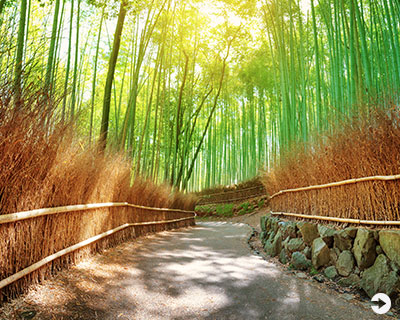 Japan’s Most Spectacular Views in Summer