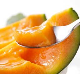 Hokkaido Melon
