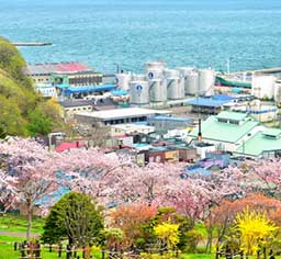 Otaru