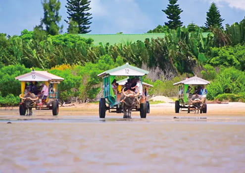 Ishigaki island hopping