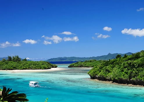 Ishigaki Island bus tour